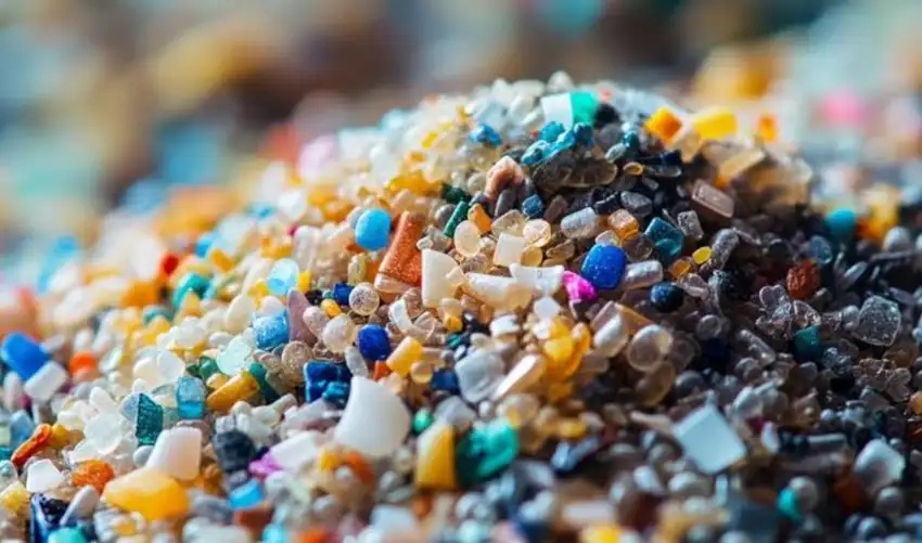 Revelan los 5 alimentos más contaminados con microplásticos y que consumimos habitualmente