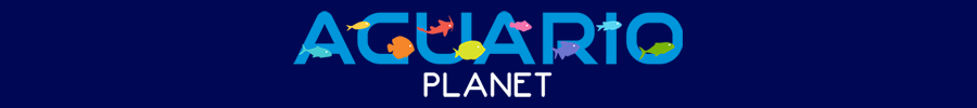 Acuario Planet